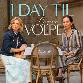 《狐狸女士 第二季》回归！更狡猾的阴谋，更爆笑的日常，准备好被这只狐狸萌翻了吗？