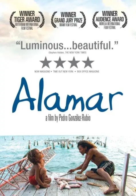 《拥抱大海》：治愈心灵的蓝色诗篇，在海浪声中找回自我（深度影评）