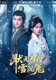 《状元为母雪沉冤》：孝子状元泣血复仇，揭秘封建时代的黑暗与母爱的伟大！