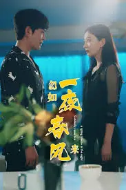 《忽如一夜春风来》：中年危机下的情感觉醒，家庭婚姻何去何从？